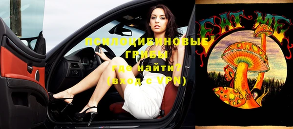 стафф Няндома